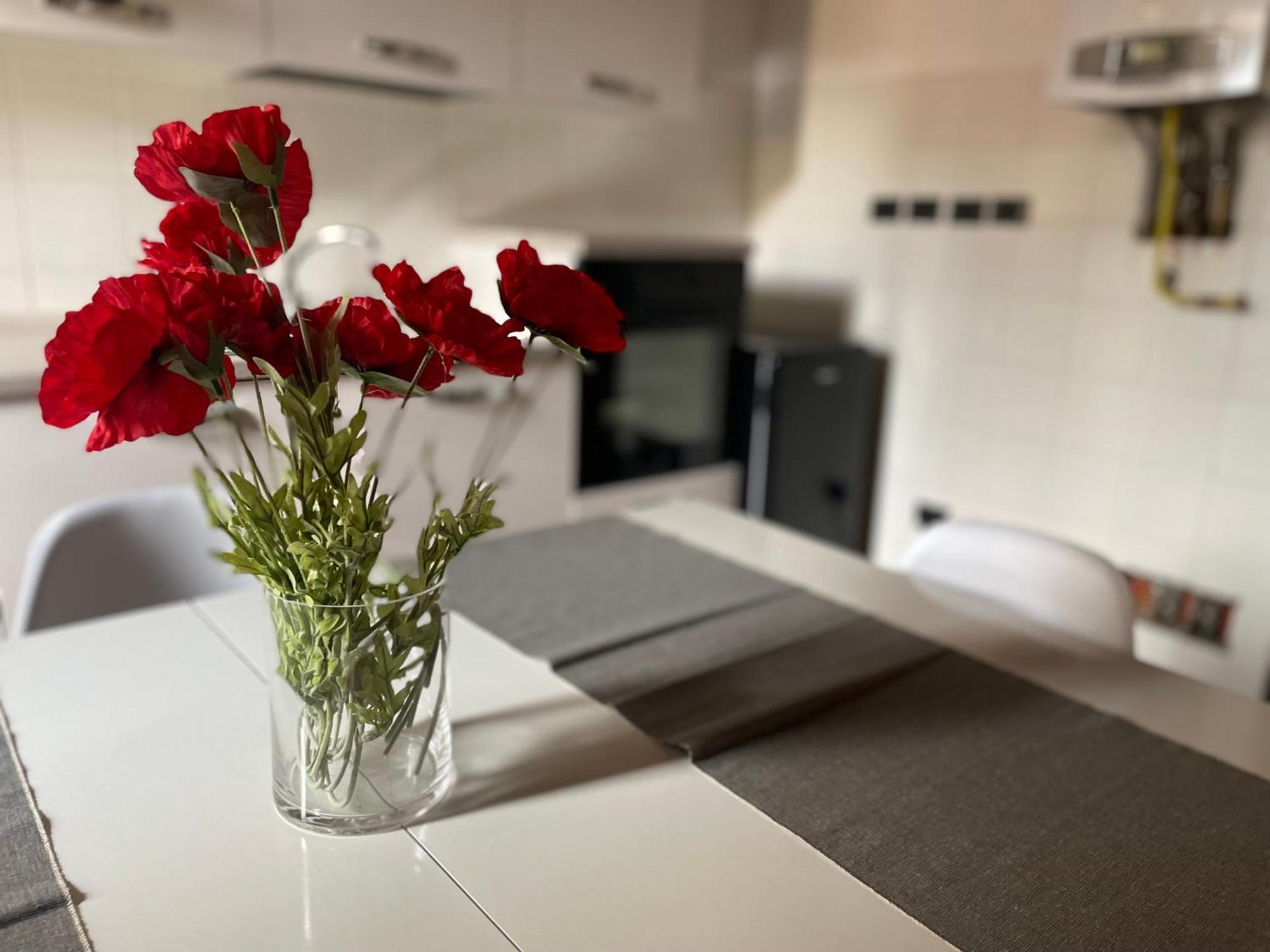 Scaligeri House Apartment Verona Luaran gambar